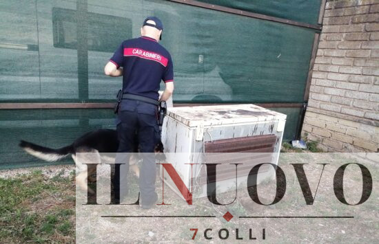 Operazione antidroga a Velletri 