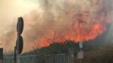 Paura a Pomezia, fiamme distruggono vegetazione e sterpaglie a ridosso delle abitazioni