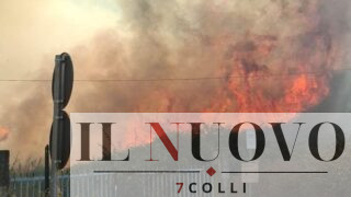 Paura a Pomezia, fiamme distruggono vegetazione e sterpaglie a ridosso delle abitazioni