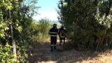 Roma, precipita in un dirupo tra via della Foce dell’Aniene e via del Foro Italico: salvato in extremis