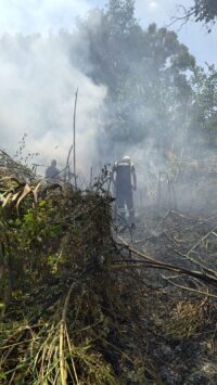 Incendio via Calle Caia