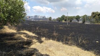 Roma, in fiamme via Valle Caia: bruciano ettari di sterpaglie