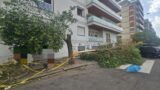 Roma, crollano rami e alberi nel III Municipio: raffiche di vento oltre i 50 km/h (FOTO)