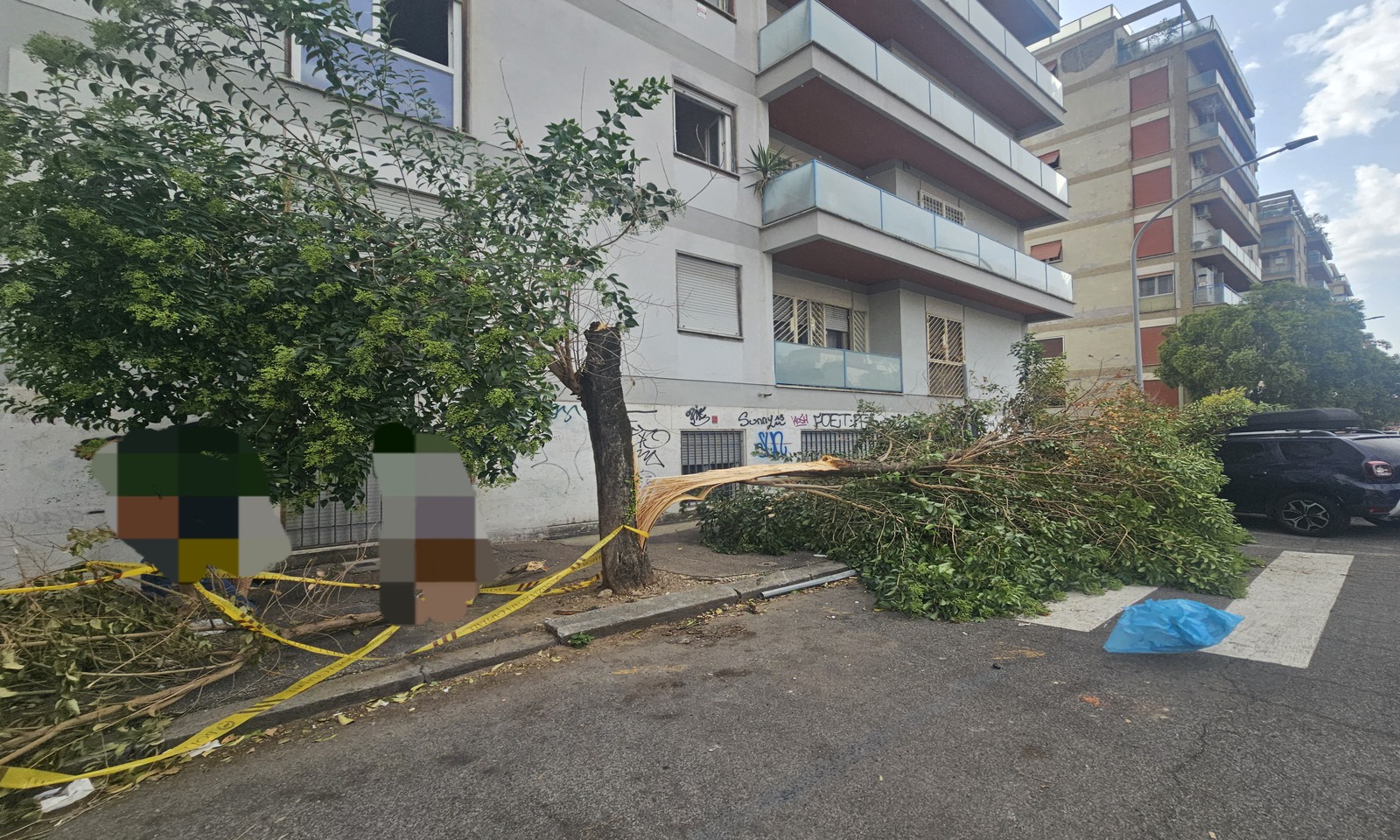 Alberi e rami caduti a Roma
