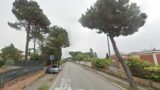 Anzio, Stradone Sant’Anastasio ‘distrutto’ dalle radici dei pini (privati): “Comune avvia il ripristino in danno”