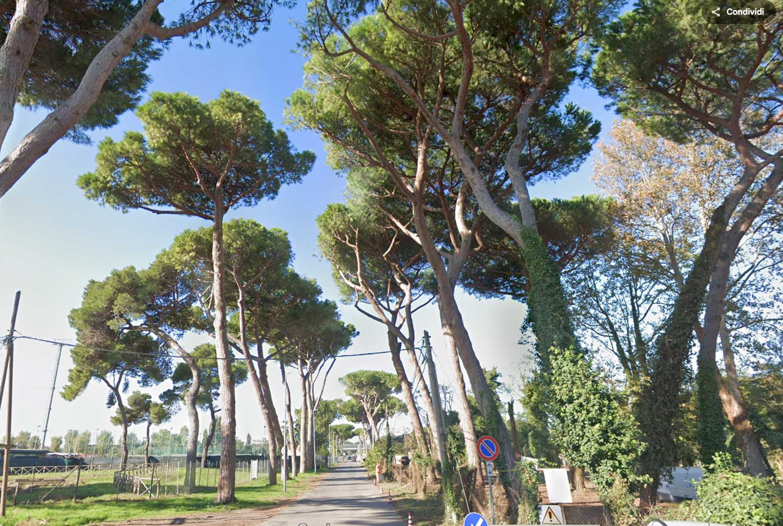 Fiumicino, via Redipuglia, foto Google Maps