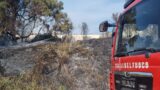 Civitavecchia, divampa un incendio vicino ai capannoni: colonna di fumo visibile per chilometri