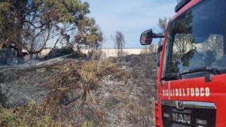 Civitavecchia, divampa un incendio vicino ai capannoni: colonna di fumo visibile per chilometri