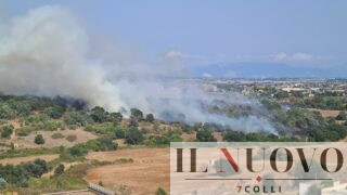 Incendio a Pomezia, in fiamme la sughereta: colonna di fumo visibile da Ostia e Torvaianica