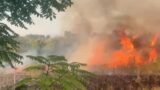 Incendi, oltre 51mila interventi dei vigili del fuoco dall’estate: Lazio terza regione più colpita