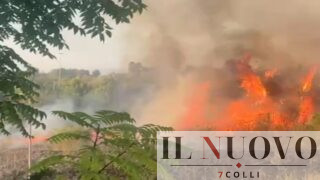 Incendi, oltre 51mila interventi dei vigili del fuoco dall’estate: Lazio terza regione più colpita