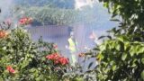 Inferno di fuoco ad Ardea: incendio in via Pordenone, fiamme a ridosso delle abitazioni nella zona di Nuova Florida