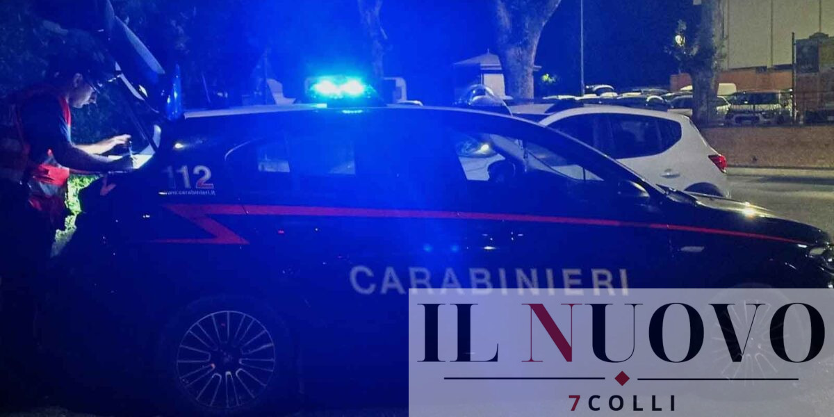 Pomezia, Carabinieri in azione