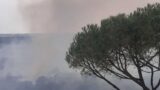Roma assediata dagli incendi: diversi roghi in corso, alta colonna di fumo a Saxa Rubra