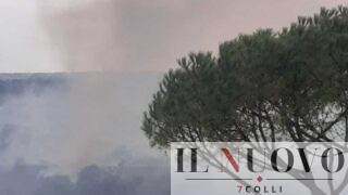 Roma assediata dagli incendi: diversi roghi in corso, alta colonna di fumo a Saxa Rubra