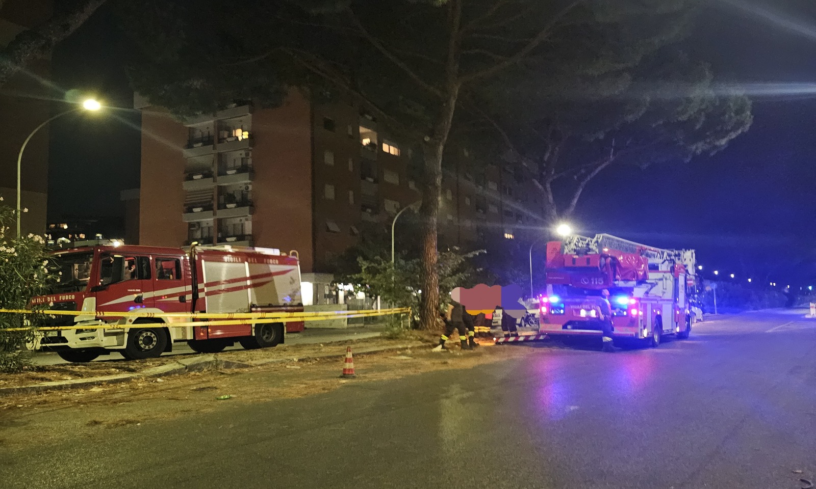 Rami spezzati a Roma