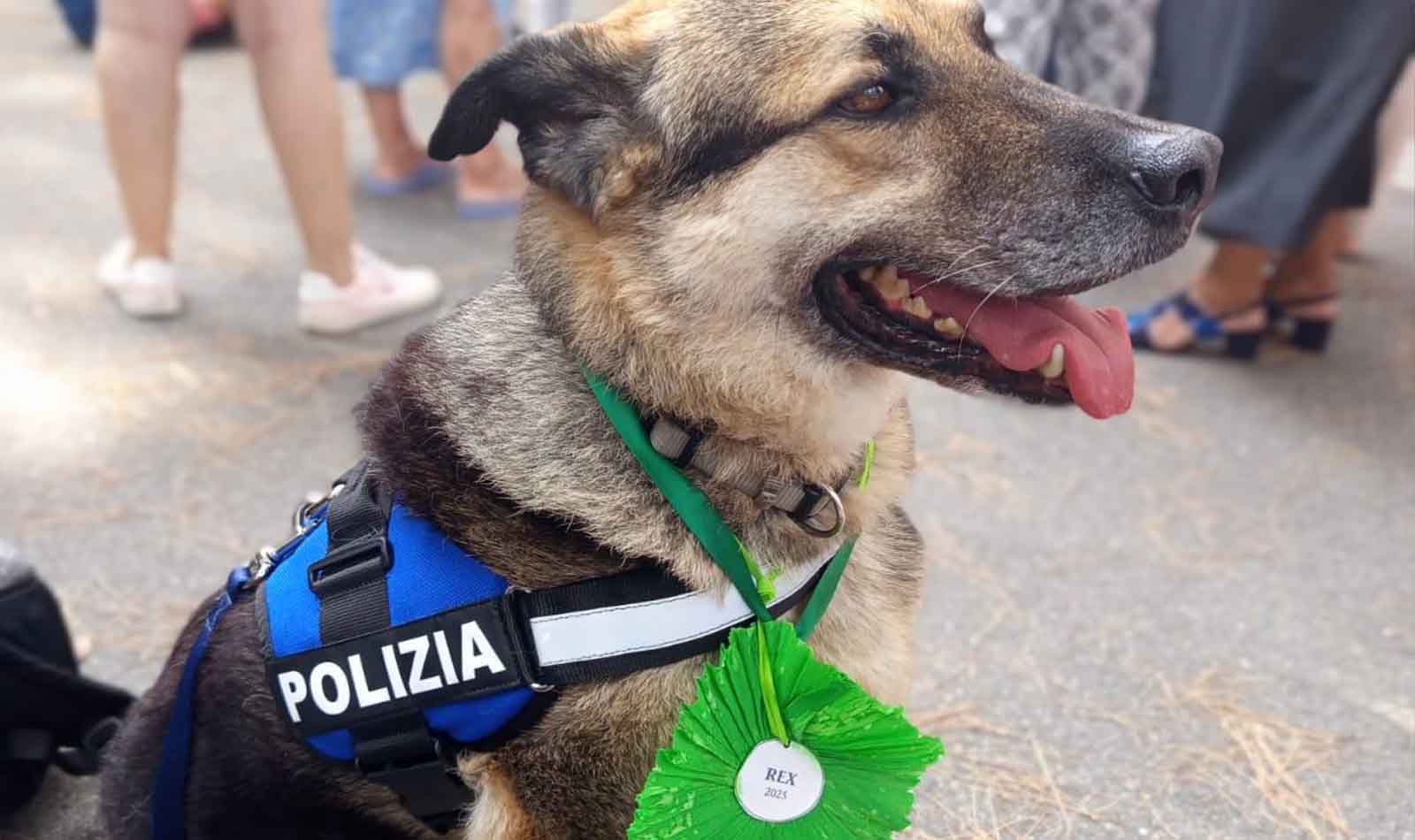 Rex, il cane della Polizia di Roma che ha commosso l’Italia