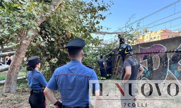 Roma, albero caduto San Paolo metro B e B1