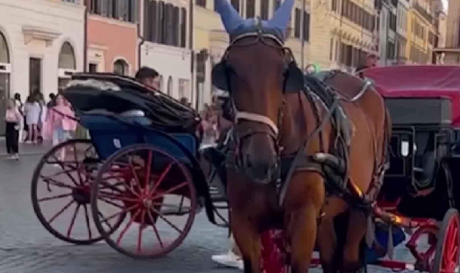 Roma, cavalli sotto il sole con le botticelle
