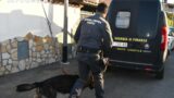 Roma, maxi truffa commerciale: 13 supermarket di una nota catena in amministrazione giudiziaria