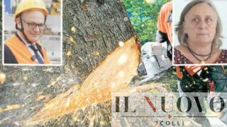 Roma, motoseghe per gli alberi in centro da inizio 2026: ma la Trasparenza del Campidoglio resta ‘offline’, come nel 2025