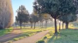 Roma, stuprata nel parco di Tor Tre Teste: “Se parli ti taglio la gola”