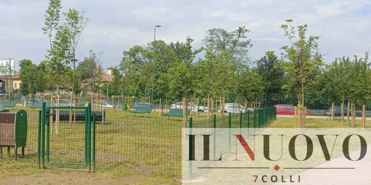 PNRR, alberi a Roma