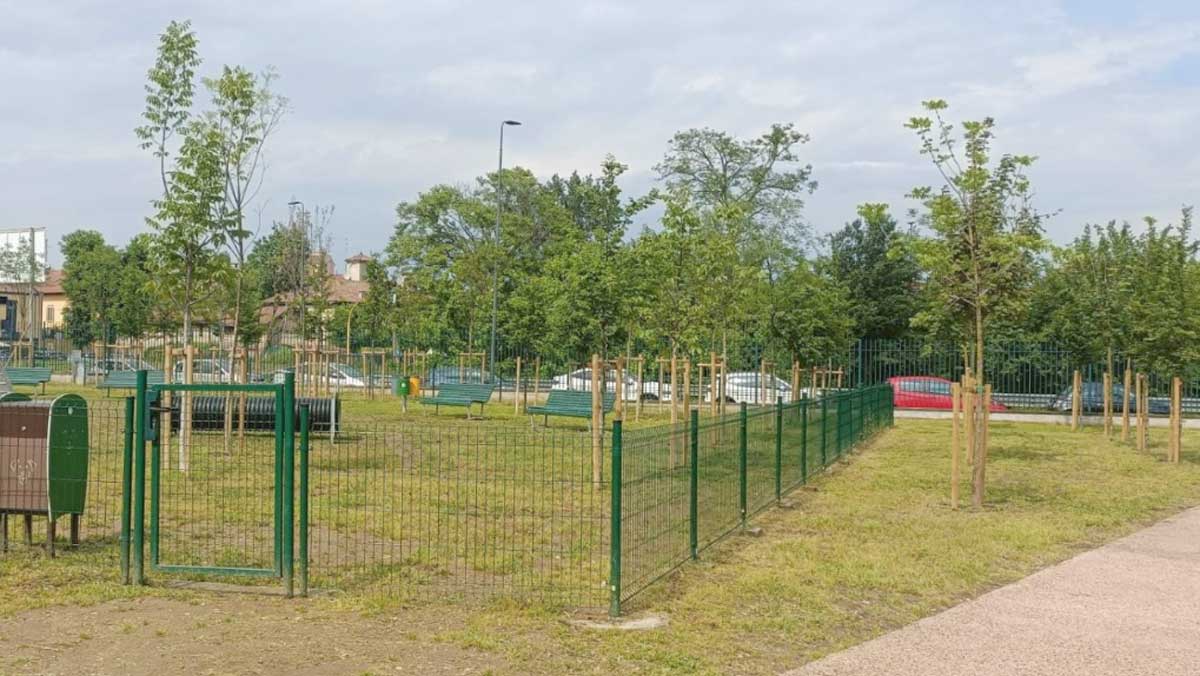 PNRR, alberi a Roma