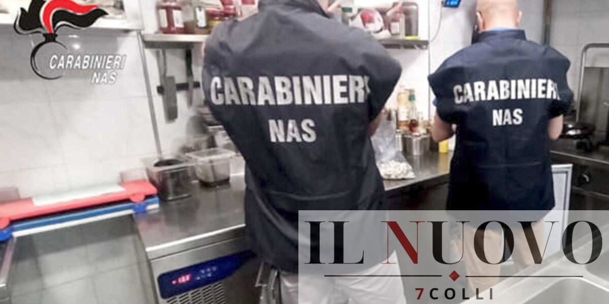 Carabinieri Nas al lavoro tra Ostia, Fiumicino e Nettuno