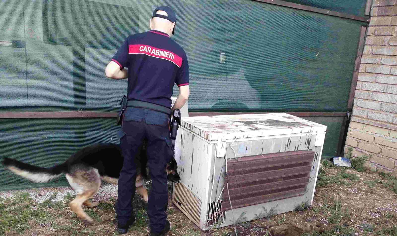 droga nel carcere di Velletri