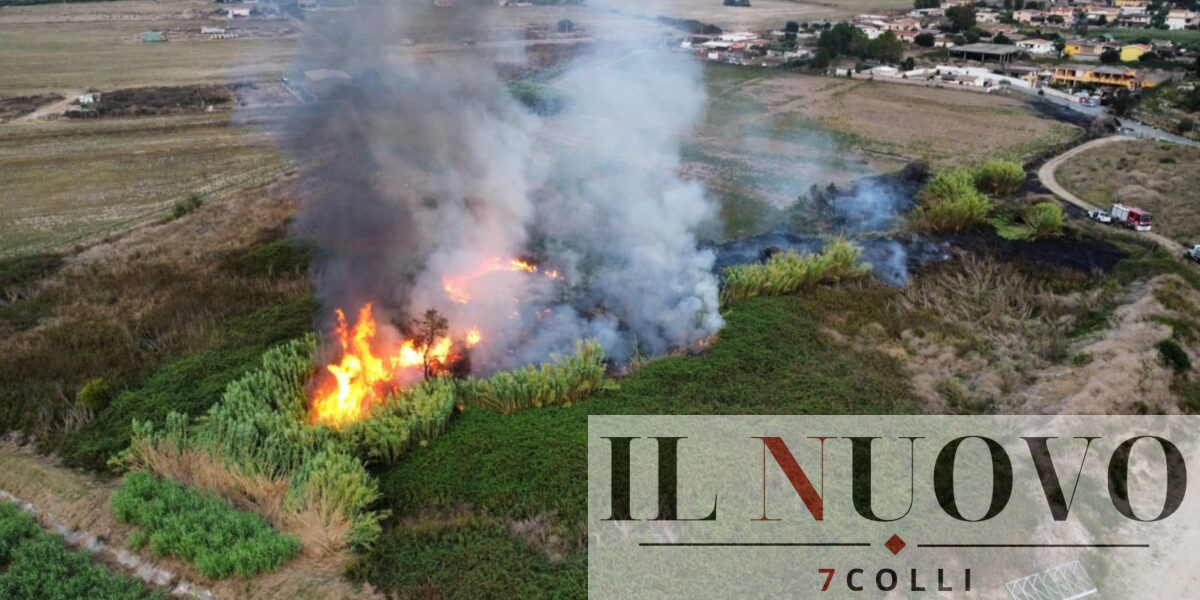 incendio Ardea