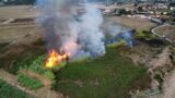 Ardea, inferno di fuoco in via delle Salzare: roghi a catena in tutto il Comune