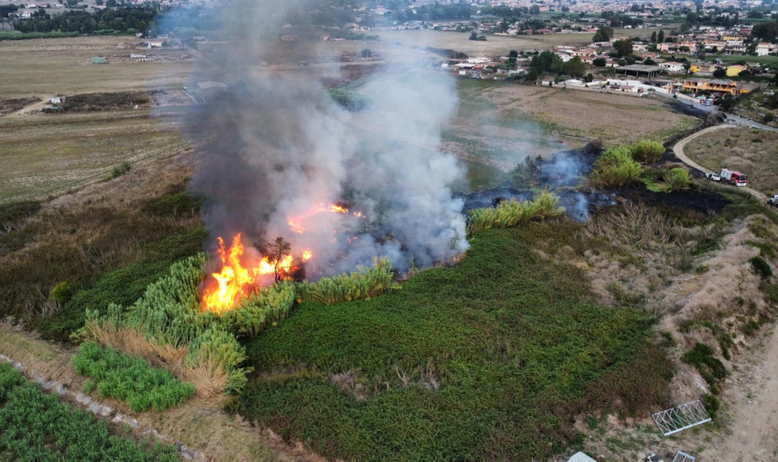 incendio Ardea
