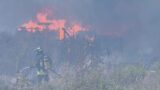 Incendio ad Ardea, in fiamme rifiuti in via delle Acque Alte