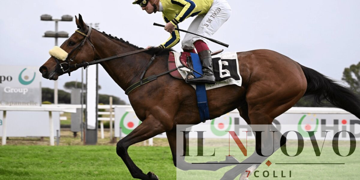 ippodromo capannelle