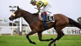 Ippodromo Capannelle, si riparte lunedì 1 settembre: al via la grande stagione autunnale