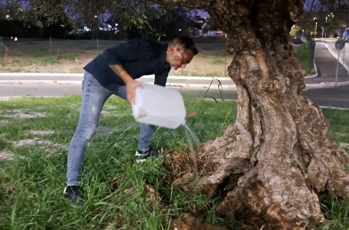 nel parco di Pietralata appena inaugurato manca l'irrigazione