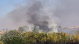 Incendio alla Sughereta di Pomezia: fiamme devastano il bosco a ridosso delle abitazioni