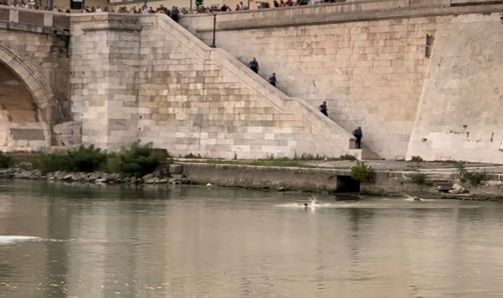 Tentato suicidio da Ponte Sisto