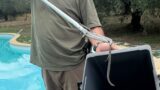 La Storta, cucciolo di vipera cade in piscina: paura tra i bagnanti