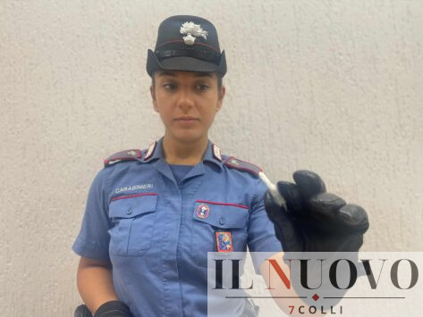 Droga sequestrata a Lavinio