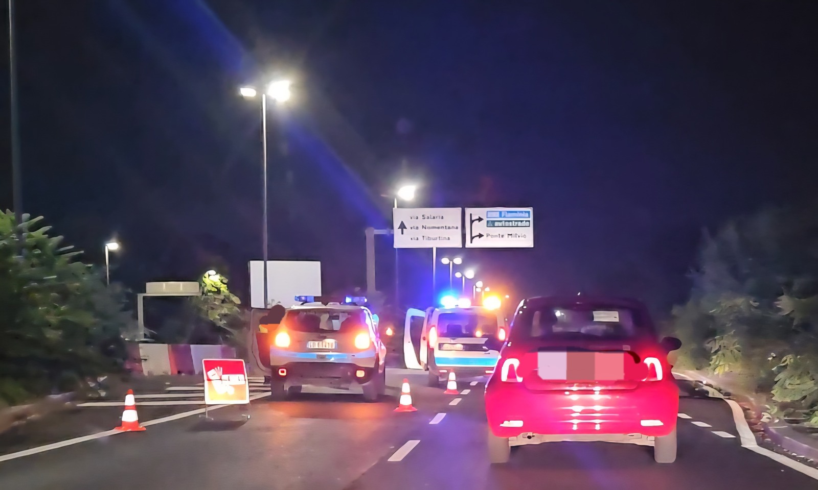 Cinghiale investito sull'Olimpica a Roma