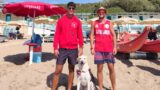 Anzio, non ascolta i richiami dei bagnini e rischia di annegare: salvato da Alex, Marco e… il cane Maya