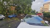 Roma, enorme ramo si spezza e crolla su due auto in sosta: strada chiusa al Nuovo Salario (FOTO)