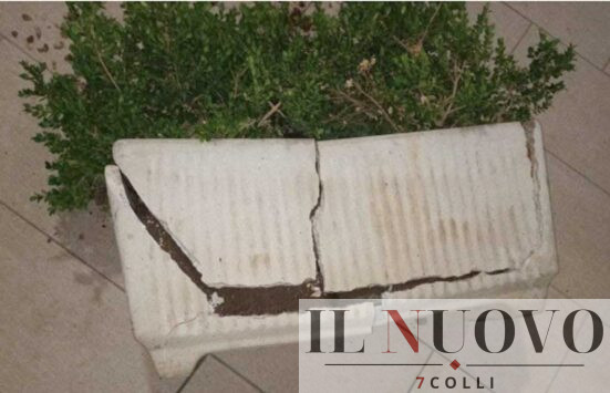 Roma, vandalismo contro le fioriere