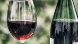 Roma, Torna Vinòforum 2025: una settimana tra vino, alta cucina e cinema nel cuore di Villa Borghese