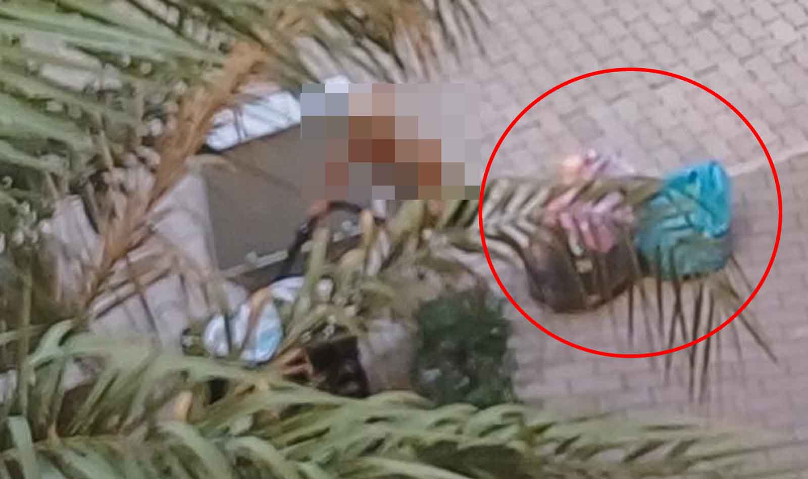 Roma, degrado nei condomini di Don Bosco