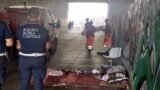 Roma, il sottopasso era un bivacco: intervento urgente tra Trastevere e piazza della Radio