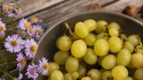 Sagre a Roma e nel Lazio sabato 27 e domenica 28 settembre 2025: gli eventi del weekend