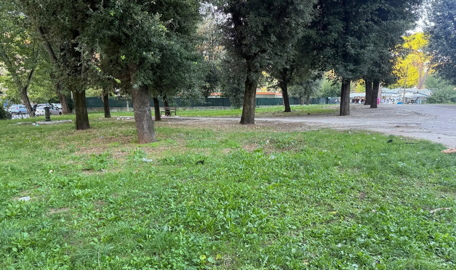 Talenti